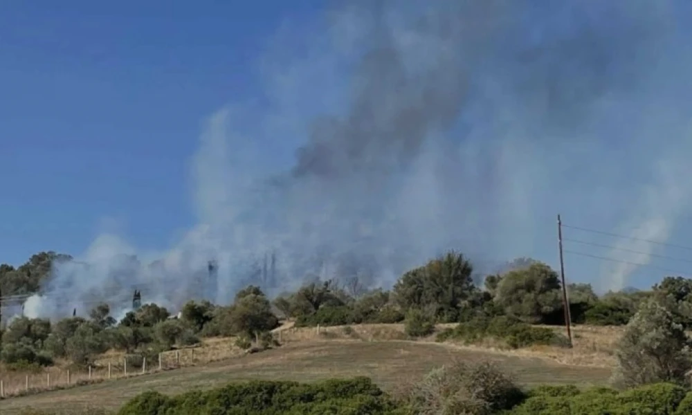 Φωτιά ξέσπασε στην περιοχή Δάφνη Αυλωναρίου στην Εύβοια